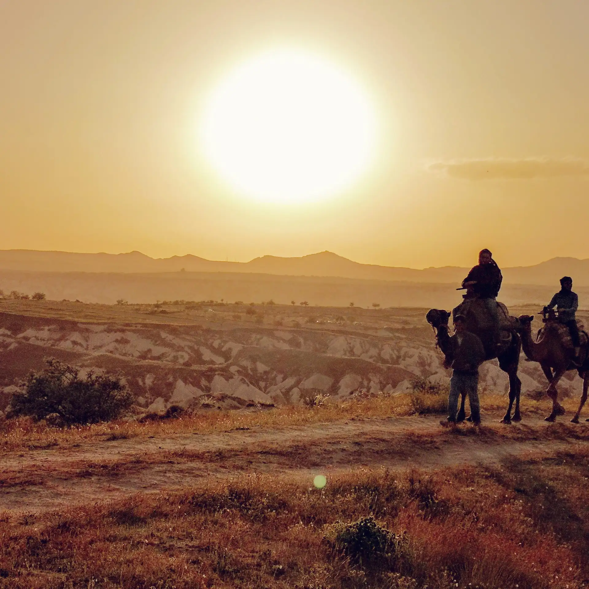 Cappadocia Camel Riding Tour preview 4