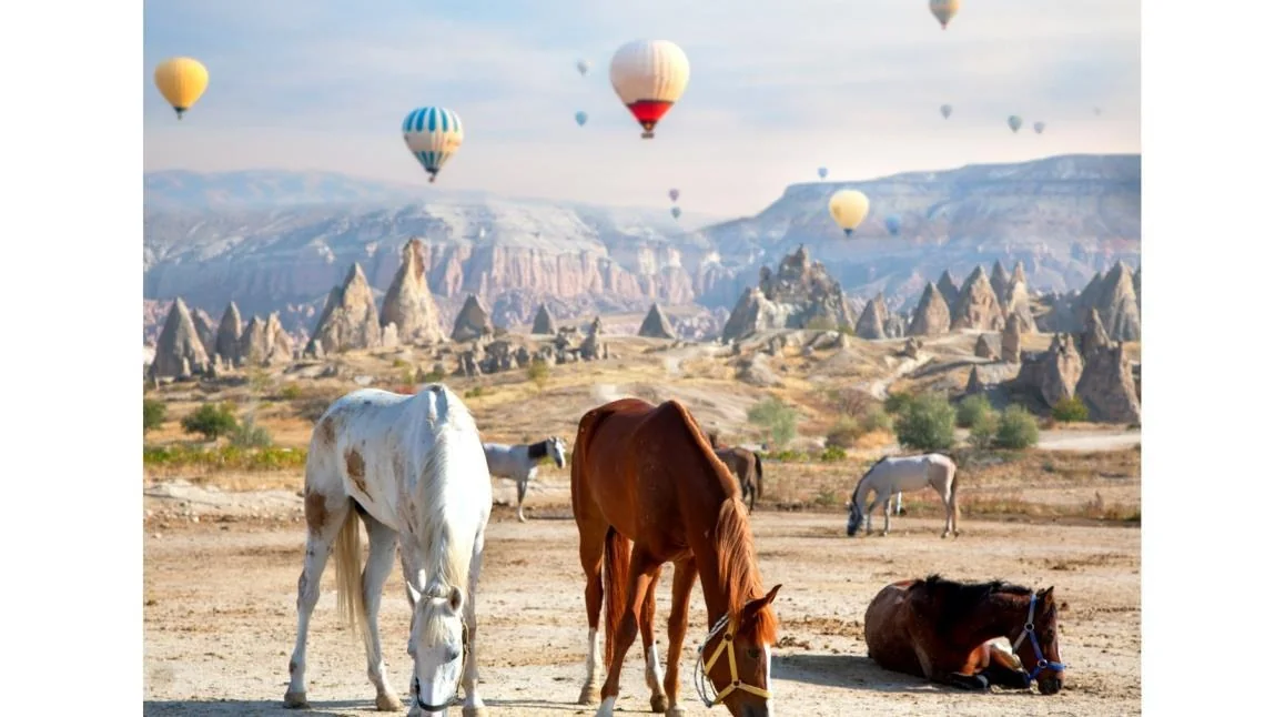 15 Days Best of Turkey with Flights from Washington DC preview 2